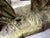 Sculpture Materials Antique Hand-Painted Sheep Models, 1890s, Set of 5 For Sale - Image 7 of 10