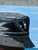 I painted Somewhere Out There to capture the feeling of looking toward a future full of possibility. The painting shows a...