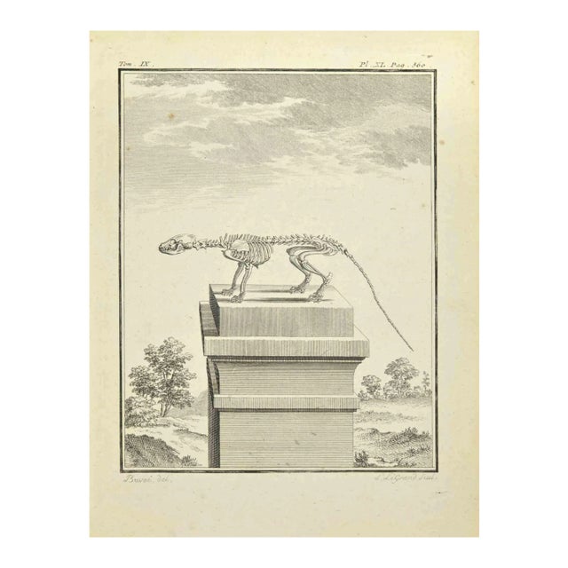 Louis Legrand, The Skeleton, Etching, 1771 For Sale