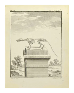 Louis Legrand, The Skeleton, Etching, 1771