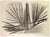 1960s Hans Hartung, Untitled, L112, 1963, Lithograph For Sale - Image 5 of 5