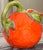 Rustic European Vintage Majolica Style Citrus Motif Pitcher For Sale - Image 3 of 14