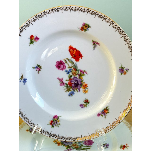 Mid-Century Modern Dresden Hand Painted Mid-Century Dinner Plates - Set of 10 For Sale - Image 3 of 12