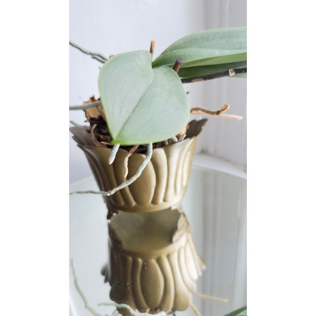 Vintage 1970s Brass Lotus-Shaped Gardinere/Planter For Sale - Image 10 of 15