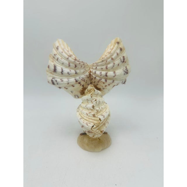 Vintage Shell Art Owl For Sale - Image 4 of 10