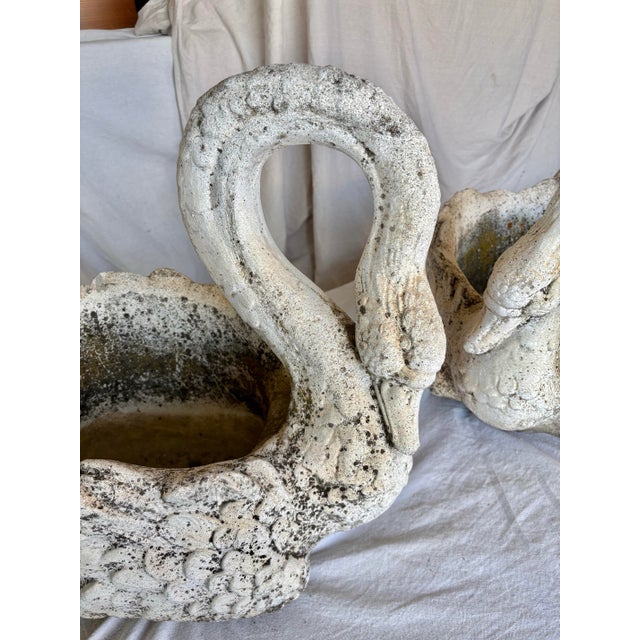 Early 20th Century French Concrete Swan Planters - A Pair For Sale - Image 6 of 12