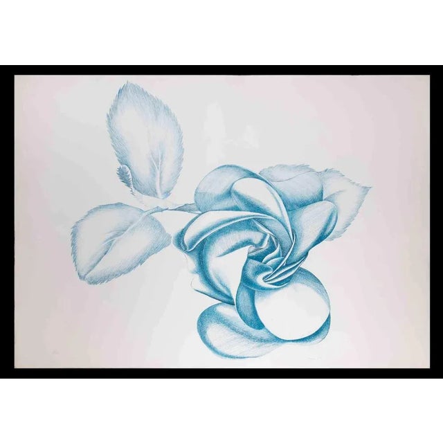 Blue Rose is an original contemporary artwork realized by Giacomo Porzano in 1970s. Colored etching Hand-signed on the...