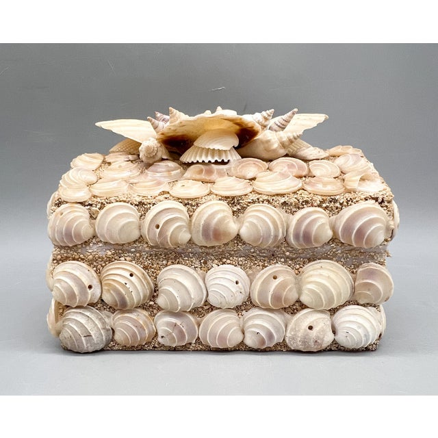 Vintage Handmade Seashell Encrusted Lidded Box – Coastal / Organic Modern For Sale - Image 9 of 14