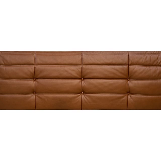 Togo Three-Seater Sofa in Dark Cognac Leather by Michel Ducaroy for Ligne Roset For Sale - Image 10 of 12