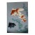 Mid 20th Century Japanese Shin-Haga Woodblock Print Goldfish by Bakufu Ohno For Sale