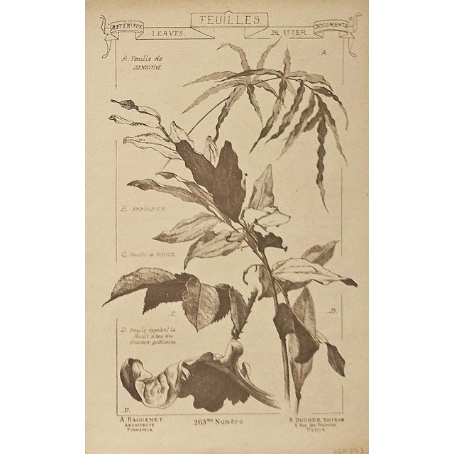 Late 19th Century 1887-Set of 4-French Antique Architectural Design Engravings-Leaf Designs For Sale - Image 5 of 5