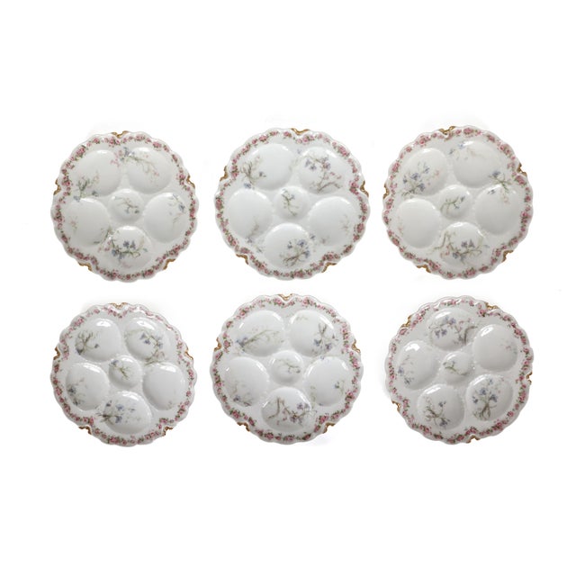 Stunning set of 6 antique porcelain oyster plates by Haviland Limoges in an elegant white porcelain featuring five...