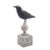American Carved & Painted Confidence Crow Decoy, C. 1900-25 For Sale - Image 4 of 11