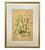 18th Century Framed "Globe Fish" by Mark Catesby For Sale In Tampa - Image 6 of 8
