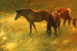 Medicine Hat by Lani Vlaanderen | Oil Painting of horses grazing in a golden field.
