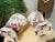 Beige Vintage Hand Painted Coastal Fish Lamps - A Pair For Sale - Image 8 of 8