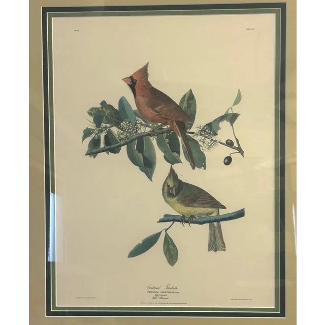 Beautiful vintage Audubon Society reproduction print featuring Cardinal and Grosbeak birds. This striking piece is...