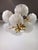 1970s Glass Shell and Brass Chandelier attributed to Deknudt, 1970s For Sale - Image 5 of 18
