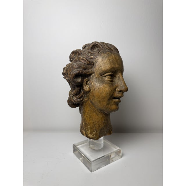 Genovese Artist, Sculpture Depicting the Head of an Angel, 17th Century, Wood For Sale - Image 11 of 18