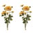 Rustic Zinnia Flower Bundle (Set of 2) For Sale - Image 3 of 3