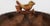 A chipper bird sits atop a branch in the centre of this miniature birdbath. It is made of cast iron that was finished in a...