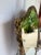 Vintage Newly Painted Hepplewhite Wall Mirror in Faux Tortoiseshell Finish For Sale - Image 4 of 7