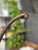 Antique 1890s National Brass & Iron Works Ornate Victorian Cast Iron and Onyx Plant Stand For Sale - Image 10 of 16