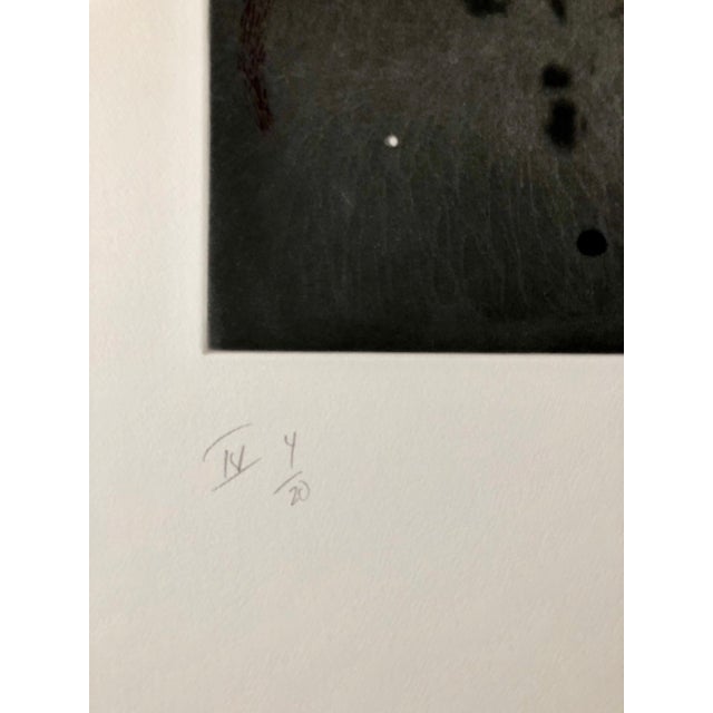 Pat Steir, Comet, Outer Space Dark Series Aquatint Etching Color Abstract Expressionist, 1997 For Sale - Image 4 of 6