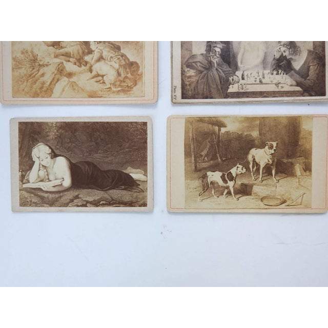 Antique Collection Grand Tour Horse Dogs Artwork Photographs - Set of 6 For Sale - Image 4 of 6