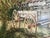 Original watercolor by Florida artist Val Williamson, signed and dated lower right "Val Williamson (c) 1978." Original...