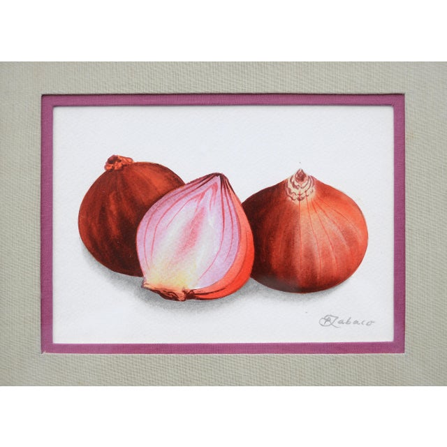Vintage Small Watercolor Cucumbers Onions Still Life Paintings - a Pair For Sale - Image 4 of 7