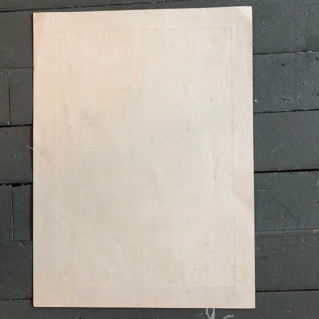 Vintage Original Etching Paris Notre Dame Market Scene by Pepito For Sale In Philadelphia - Image 6 of 7