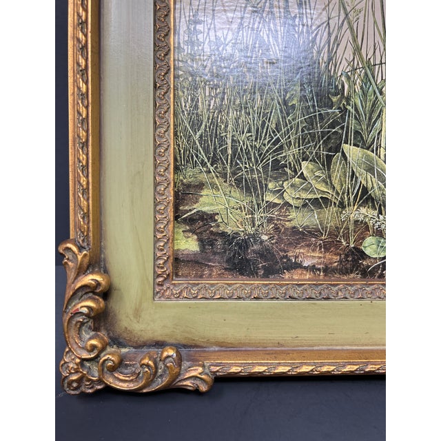 Vintage Framed Botanical Print After Albrecht Dürer – “Grass” For Sale - Image 4 of 6