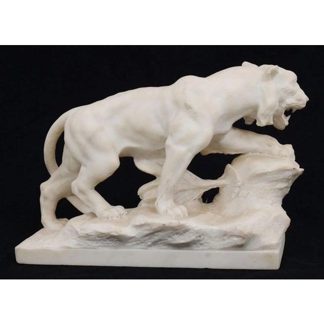 Early 20th Century Joseph Frugoni Italian Marble Sculpture of Stalking Lion For Sale - Image 5 of 7