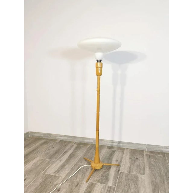 Floor Lamp by Krasna Jizba For Sale - Image 4 of 10