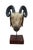 Rustic Vintage Indo Persian Carved Wood Ram Head Bust Sculpture on Stand 18" For Sale - Image 3 of 16