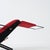 P40 Lounge Chair by Oswaldo Borsani for Tecno, 1955 For Sale - Image 16 of 18