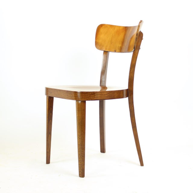 Dining Chairs in Walnut from Tatra, Former Czechoslovakia 1950s, Set of 4 For Sale - Image 13 of 17