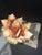 2020s Celestial Meets the Sea Shell Wall Pocket-Coastal Art Sculpture For Sale - Image 5 of 5