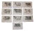 Antique 19th C. Lithographs-Cattle-Set of 10 For Sale