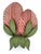 Mid-Century Modern Mid-Century Double Leaf Floral Sconce by Holländer Leuchten, Germany, 1970s For Sale - Image 3 of 18