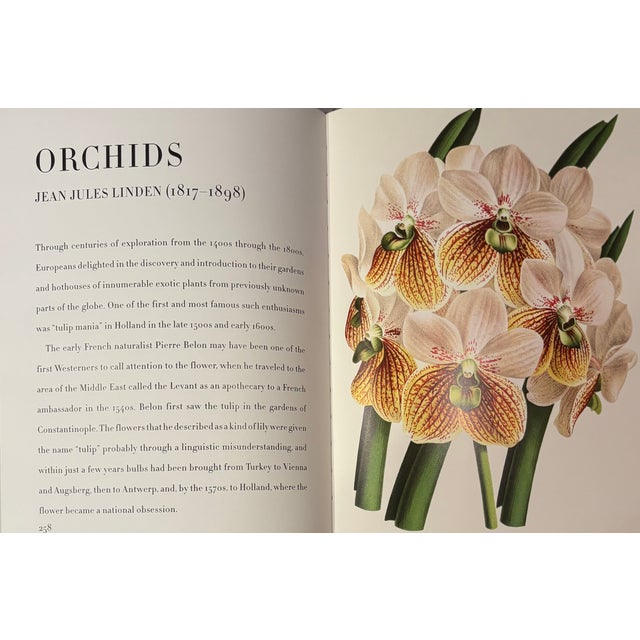 Botanicals: Butterflies and Insects by Assouline, First Edition For Sale - Image 12 of 12