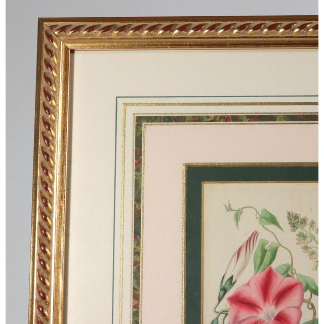 Sculpture Materials Lessons From the Vegetable World: Robert Mackenzie Stark Botanical Prints 1858 For Sale - Image 7 of 13