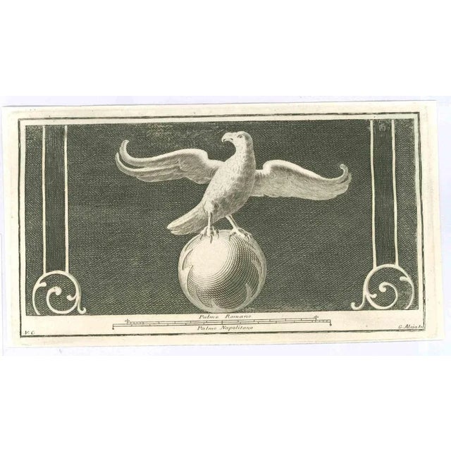 Bird Fresco from "Antiquities of Herculaneum" is an etching on paper realized by Giuseppe Aloja in the 18th Century....