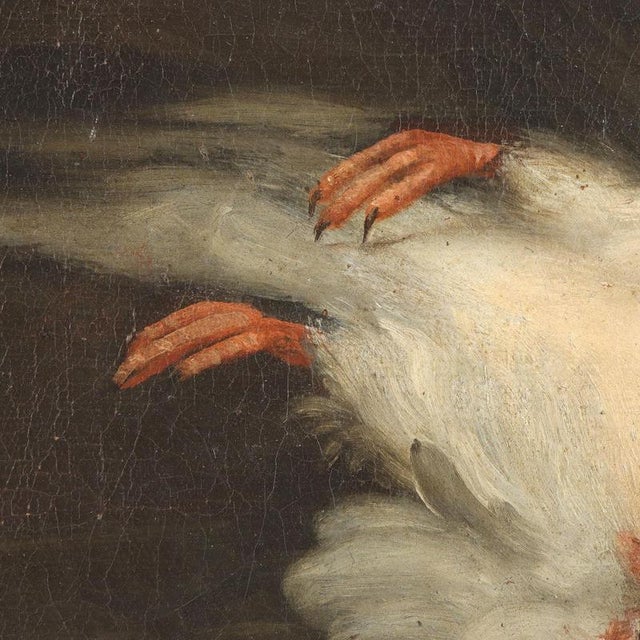 Attributable to Sinibaldo Scorza, Animals in Dark Background, Oil on Canvas For Sale - Image 9 of 12