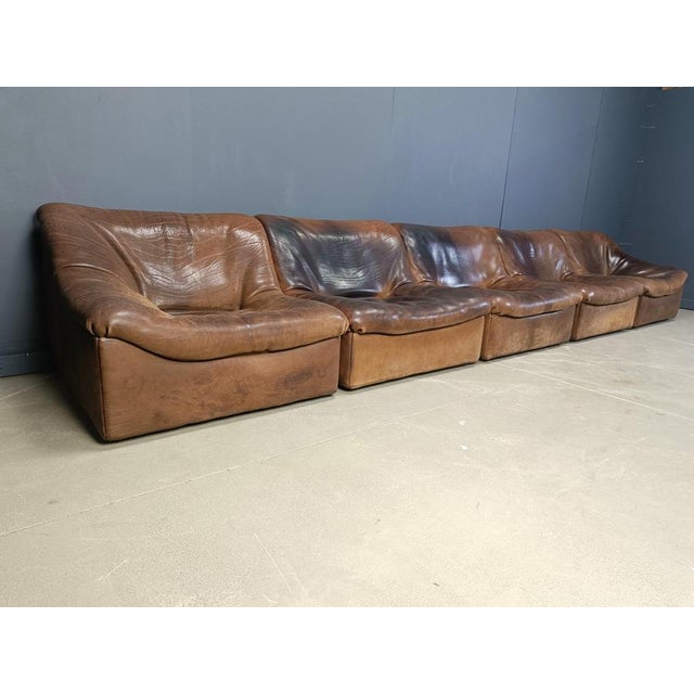 Animal Skin Vintage Bufflao Leather DS46 Modular Sofa from de Sede, 1970s, Set of 5 For Sale - Image 7 of 9