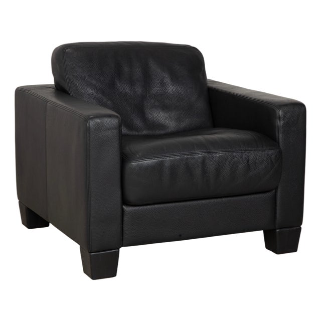 DS-17 Club Chair in Leather from de Sede For Sale