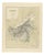 Antique Map of Borneo, 1884 For Sale