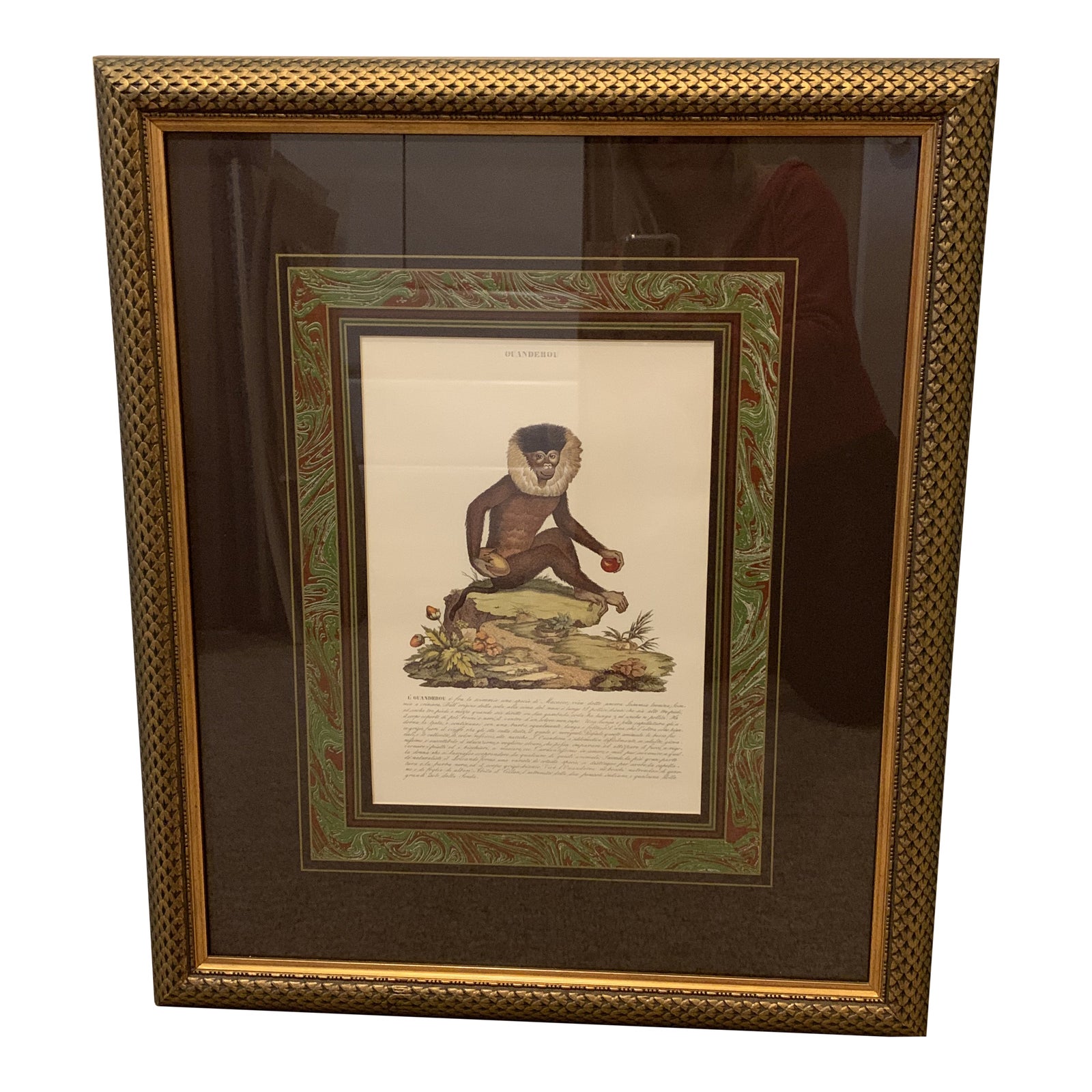 Vintage English Midcentury Framed Animal Print Chairish