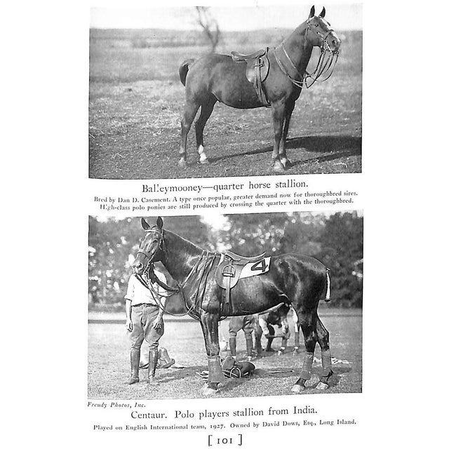 Traditional "Selection and Training of the Polo Pony" 1934 Cullum, Grove For Sale - Image 3 of 12